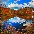 Davis Pond Reflections