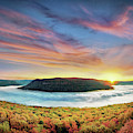 River of Fog